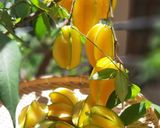 Hình bước làm 1 của món Mứt khế