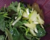 Foto langkah ke 1 dari resep Lodeh Bayam labu siam.