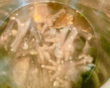 翡翠芙蓉魚羹的食譜步驟2照片