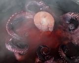 Foto del paso 3 de la receta: 🦑Pulpo a la plancha