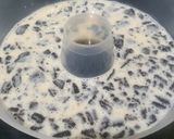 Foto langkah ke 1 dari resep Puding Oreo-Milo-Coklat.