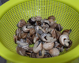 Foto del paso 1 de la receta: Caracoles a la cerveza
