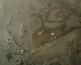 A picture of step 1 of Potato chapli kababs.