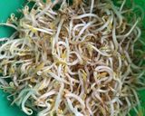 Foto langkah ke 1 dari resep Oseng kecambah dan tahu.
