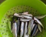 Foto del paso 1 de la receta: Sardinas al horno con orégano 🌿 y miel 🍯