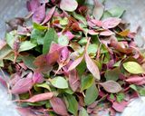 A picture of step 1 of Laal saag sabji.