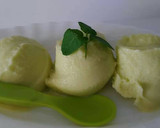Foto del paso 13 de la receta: Helado de mango y hierbabuena (con y sin Tmx) también versión light