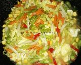 Foto langkah ke 3 dari resep Oseng Oseng Sayur Pelangi.