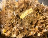 عکس مرحله 1 از دستور ته چین مرغ وبادمجان