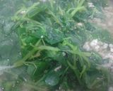 Hình bước làm 3 của món Canh Rau Càng Cua Thịt Băm