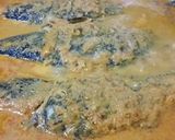 Foto langkah ke 5 dari resep Resep Arsik Ikan Mas Sedap.