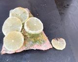 Une image de l'étape 10 de Queue de saumon citron et aneth.