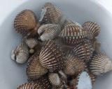 Foto langkah ke 3 dari resep Kerang dara rebus.