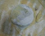 Foto del paso 3 de la receta: Torta de banana en LICUADORA....súper fácil!