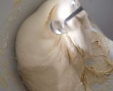 Foto langkah ke 3 dari resep Bakpao.