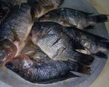 A picture of step 2 of Fried Fish.