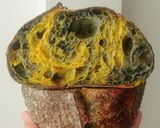 Foto langkah ke 28 dari resep Bumblebee Sourdough Bread (88% - Oven Tangkring).