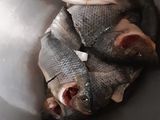 ফিস ফ্রাই (Fish fry recipe in bengali)
