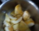 A picture of step 2 of Kimb Citrus Medica.