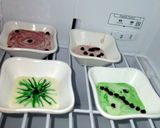 A picture of step 4 of Rainbow design chocolates.