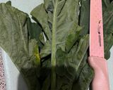 Foto langkah ke 1 dari resep Tumis kailan.