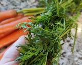 Foto del paso 1 de la receta Níscalos a la plancha con salsa mery de hojas de zanahoria