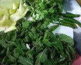 चटपटी स्पाइसी पुदीना की चटनी रेसिपी चरण 2 फोटो