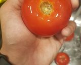 Foto del paso 1 de la receta: Tomates rellenos