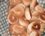 Foto del paso 3 de la receta: Pajaritos