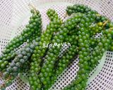 Hình bước làm 2 của món Bao tử hầm tiêu