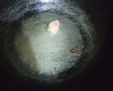 Foto langkah ke 4 dari resep Chicken Eggroll.