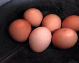 Foto langkah ke 1 dari resep Eggs Lung Burger [Real food].