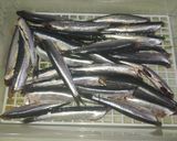 Foto del paso 1 de la receta Boquerones en vinagre