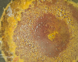 Foto del paso 5 de la receta: Bacalao skrei en salsa de naranja sanguina y puré de calabacín