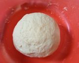 Foto langkah ke 3 dari resep Bakpao (No Mixer).