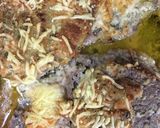 Foto del paso 4 de la receta: Filetes adobados al horno