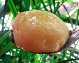 A picture of step 6 of Rasgulla.