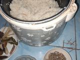 Nasi bakar ikan teri