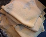 Foto del paso 4 de la receta: Tallarines de semolin, huevo y perejil