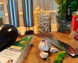 Pasta alla Norma krok przepisu 1 zdjęcie