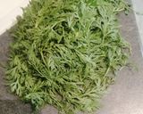 Une image de l'étape 1 de Pesto de fanes de carottes.