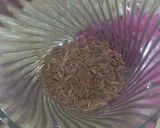 উড়িষ্যার বিখ্যাত ডালমা।(Dalma recipe in Bengali) রেসিপি ধাপ - 4 ছবি