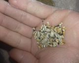 Foto del paso 3 de la receta: Bizcochitos o raspaditas integrales 😍