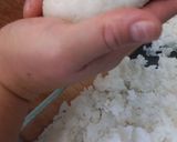 Foto del paso 3 de la receta: Onigiri 🍙