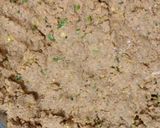 A picture of step 3 of Keema Kebab.