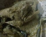 Foto langkah ke 5 dari resep Ingkung Ayam.