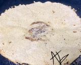 A picture of step 3 of Steps for perfect jowar roti.