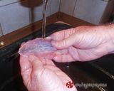 Φωτογραφία βήματος 36 της συνταγής Γεμιστές σαρδέλες “αμπελοπούλλιν”
