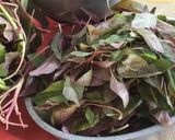 A picture of step 1 of Sindhi Style: 'Lal Math' or 'Lal Saag Dal'.