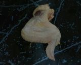 Foto del paso 1 de la receta: Alitas en salsa de pimiento rojo